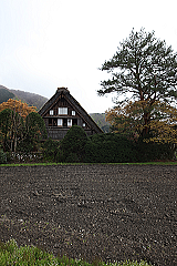 shirakawa