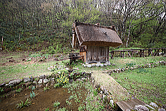 shirakawa